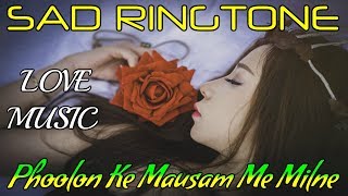Phoolon Ke Mausam Me Milne Aate Hain || Raja Hindustani || ROMANTIC SAD MUSIC