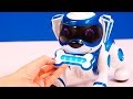 Teksta | El perro robot