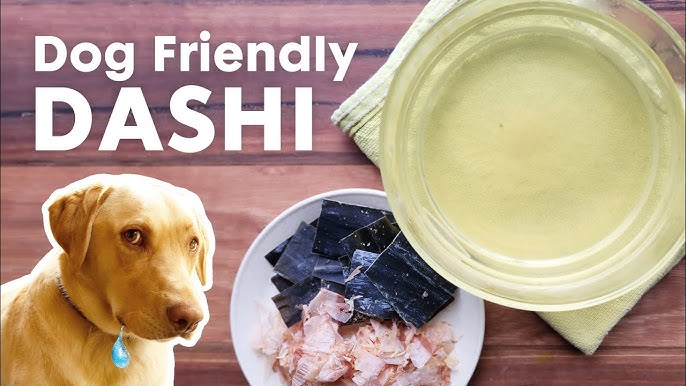 5 Drool-Worthy LickiMat Recipes for Dogs