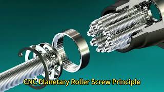 Celebrity Inside the Factory: Planetary Roller Screw Production | 26 Years Manufacturing Excellence Net Worth