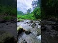 Relaxing Mountain Stream – Pure Water Sounds for Calm & Sleep #riversoundforsleeping