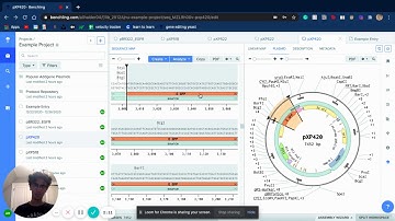 Using Restriction Enzymes to add GFP to Yeast Plasmids