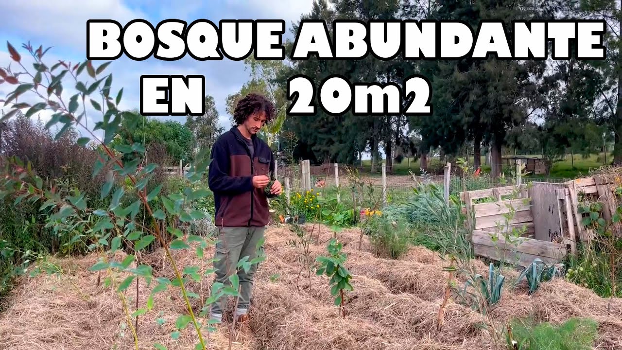 CULTIVA ABUNDANCIA en 20m2 - BOSQUE Sintrópico de ALIMENTOS Selai