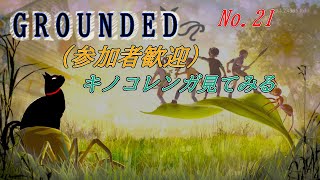 「GROUNDED 」21(参加型)
