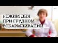 Режим дня при грудном вскармливании