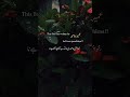 umera Ahmad wrote #editbyme #love #novelworld #unfrezzmyaccount #poetry #sad #account #booktok#novel