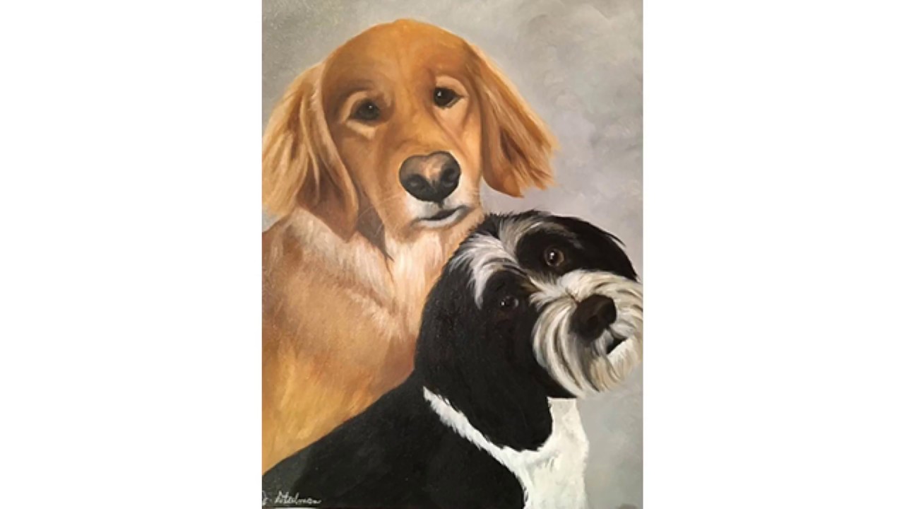 Pet Portraits YouTube