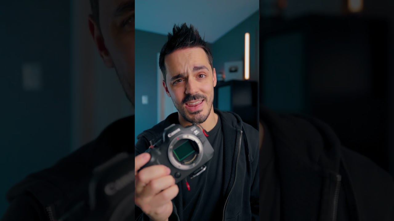 Механический и электронный затвор