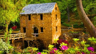 The Real Arkansas Most People Will Never See 4K Doentary