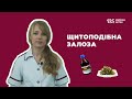 Профілактика захворювань щитоподібної залози