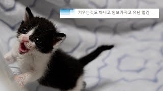 Was temporary care hard?? by 김쫀떡 53,772 views 4 months ago 9 minutes, 30 seconds