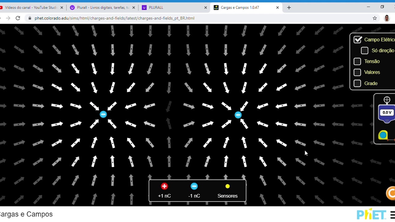 Cargas e Campo elétrico Física Simulador PheT YouTube