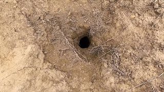 Mysterious Sinkhole : The Giddy Cave