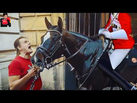 Royal Guards BREAK Character in the Most Heartfelt Moments