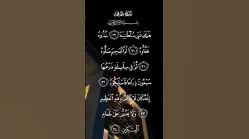 سورة الحاقة هلك عني سلطانيه خذوه فغلوه ثم الجحيم صلوه الاية ٢٩ إلى الآيه ٣٤