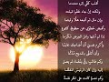 ميمية الجرجاني 