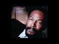 Marvin Gaye - Sexual Healing (instrumental version)