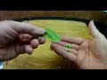 Freeze Dried Snap Peas