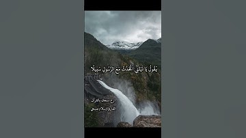 ويوم يعض الظالم علي يديه /القارئ إسلام صبحي #قرآن #راحة_نفسية #viralvideo #اسلام_صبحي #fyp #quran