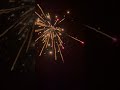 Nico Golden Tiger Batterie Feuerwerk #fireworks #weco #pyro #vuurwerk #nicofeuerwerk #silvester