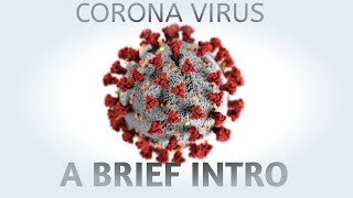 Corona Virus: A Brief Introduction