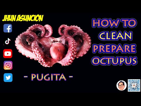 HOW TO CLEAN PREPARE AN OCTUPUS (PUGITA) EASY STEP BY STEP GUIDE (ENGLISH)