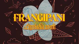 Download Lagu Frangipani (Acoustic) - Lyric Video - Kaber Vasuki - Raw Tapes 01 MP3