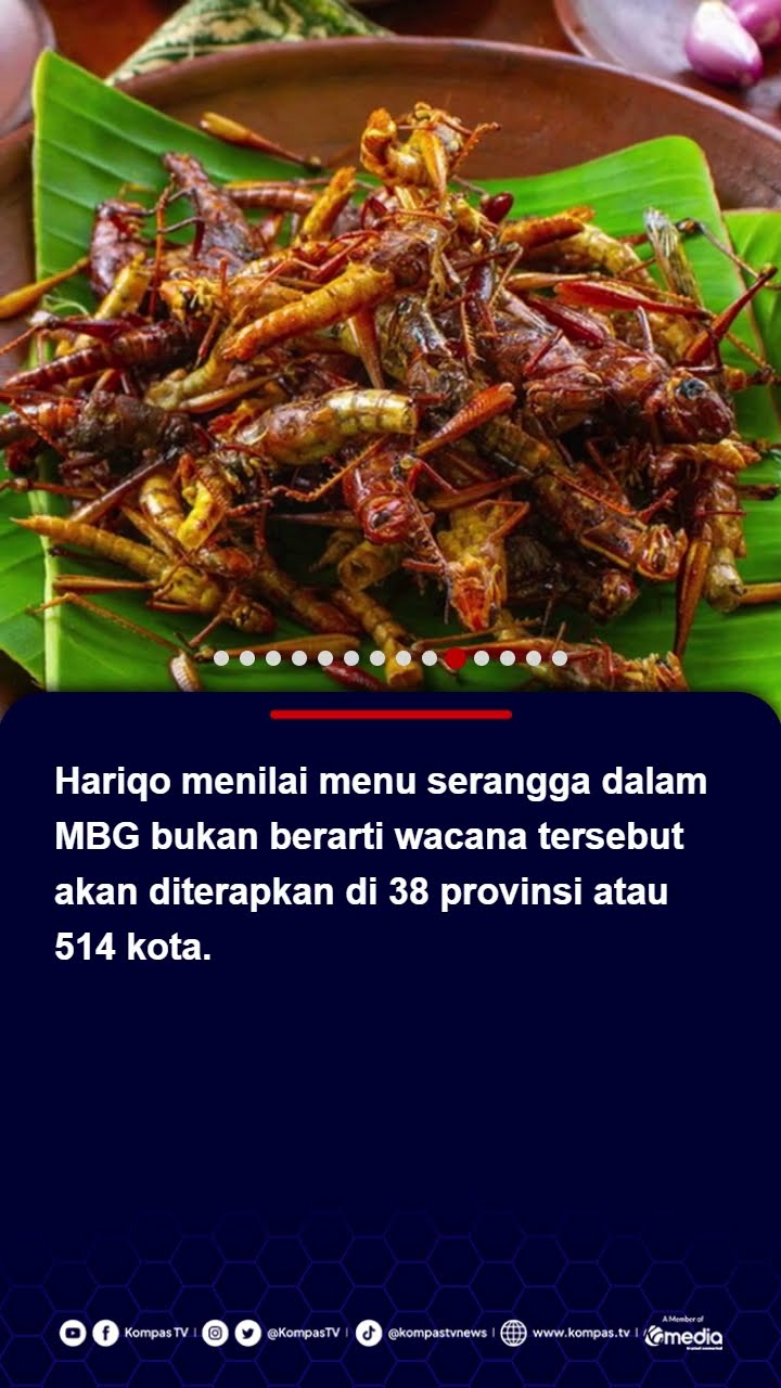 Wacana Serangga jadi Menu Makan Bergizi Gratis dapat Dukungan Istana #makanbergizigratis #serangga