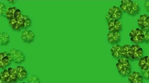 Saint Patrick Day Leaf Clover Falling loopable background stock footage | stock video | Cinefootage