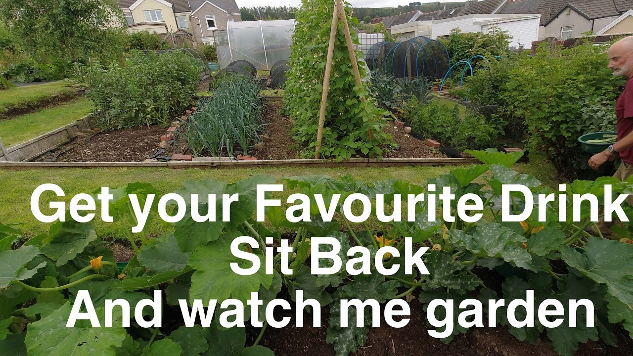 Full on Vegetable growing Allotments For Fun and Food YouTube