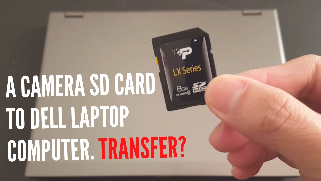 How To Transfer Sd Card From Nikon Coolpix Digital Camera To Dell