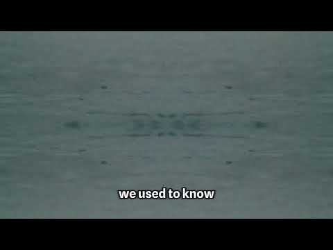 Fraxriel Used To Know Official Lyric Video