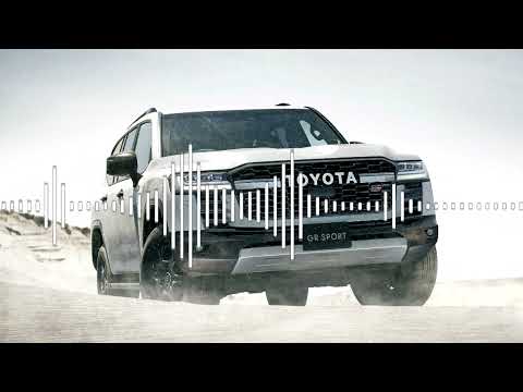 Alex Rus Дикая Львица Dj Mexx Dj Karimov Radio Remix