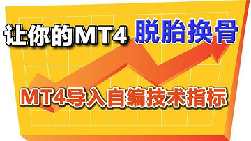 MT4指标|如何导入自编技术指标，插入安装教程，让你的MT4脱胎换骨|蝴蝶指标，自动画数波浪指标