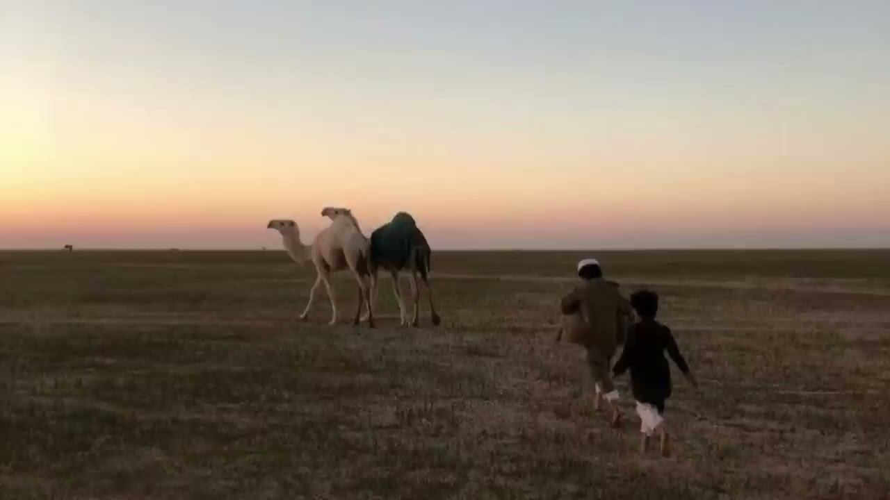 تلاوة آسرة لسورة النساء - عبدالرحمن الماجد