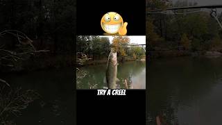 Keep Your Trout Fresh with a Creel!  #fishing #flyfishing #tips