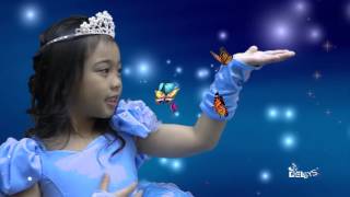Janas 7Th Birthday Digital Signage Cinderella Themed