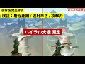 検証|弓矢の色んな性能最強ランキング/射程距離/速射早さ/攻撃力