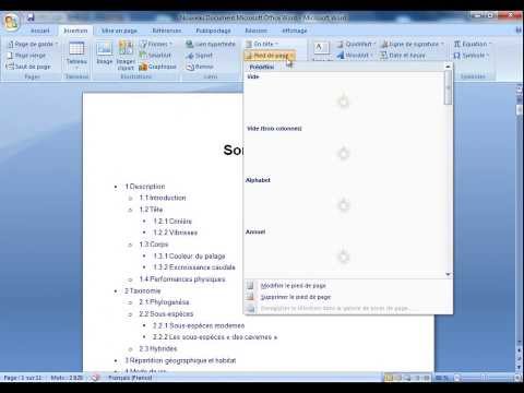 comment-numéroter-les-pages-d'un-document-word-2007
