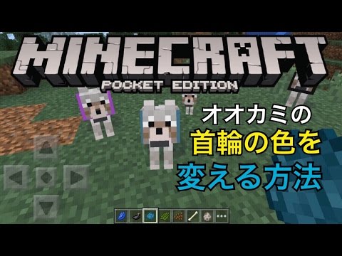 オオカミの首輪の色を変える方法 マインクラフトpe 0 11 0 Youtube