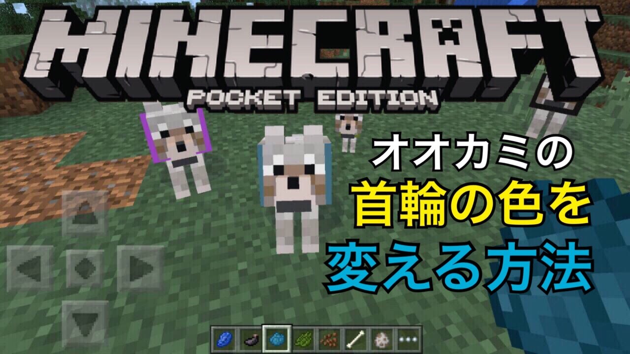 オオカミの首輪の色を変える方法 マインクラフトpe 0 11 0 Youtube