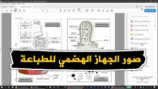 صور جاهزة للطباعة خاصة بالجهاز الهضمي علوم طبيعية للسنة الرابعة متوسط