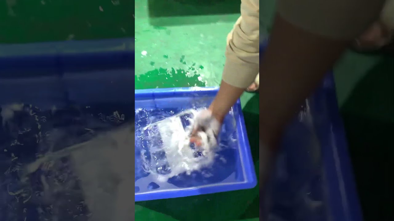 cnc產品如何處理刀紋毛刺呢#cnc #cnc加工中心 #機加工#加工中心