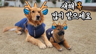 Gnar and TanE are sending greetings for the new year of 2024. by 나렝아치 NaRengAchi 23,215 views 3 months ago 11 minutes, 10 seconds
