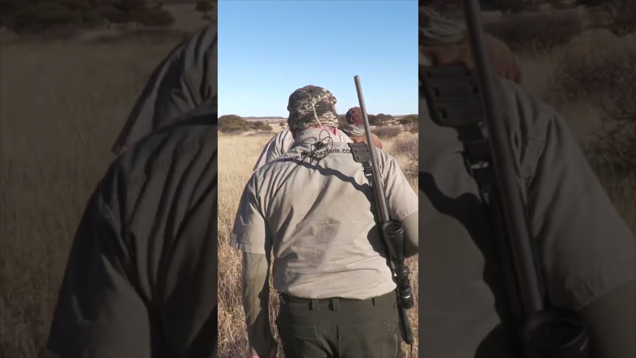 Steenbuck IMPACT SHOT #hunting