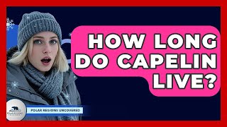 How Long Do Capelin Live? - Polar Regions Uncovered