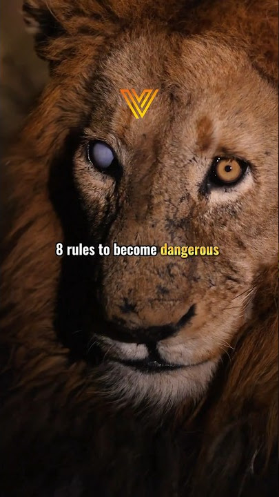 8 Rules to become dangerous 😵‍💫 #motivation #mindset #entrepreneur #entrepreneurquotes #success