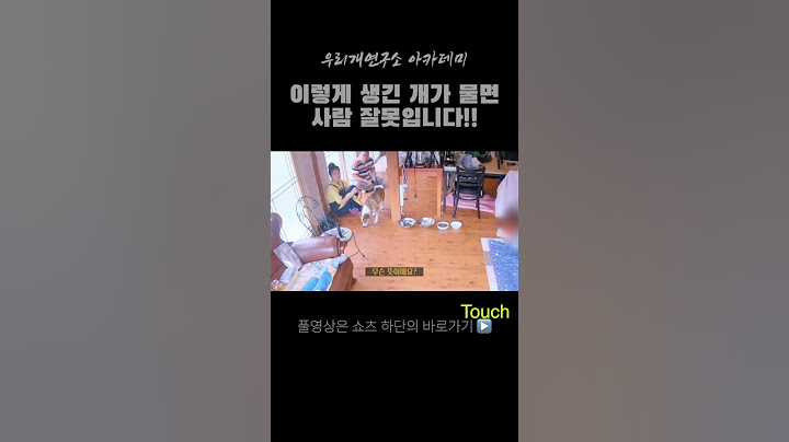 이런 개가 사람을 물면 사람 잘못입니다 #강아지교육 #바둑이 #발바리