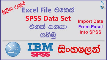 Import Data From Excel into SPSS | SPSS සිංහලෙන්