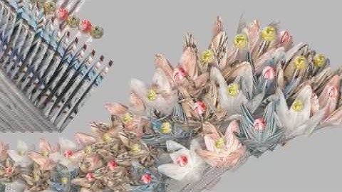 MARC 6102/2018/Assessment 3/Jiayi Fang & Zu Wang